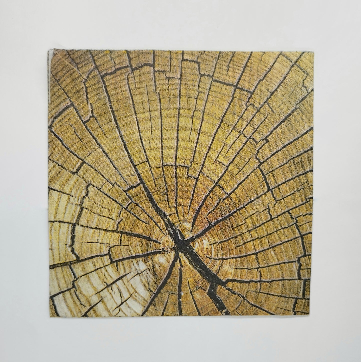 Servilleta con el corte de un árbol o madera